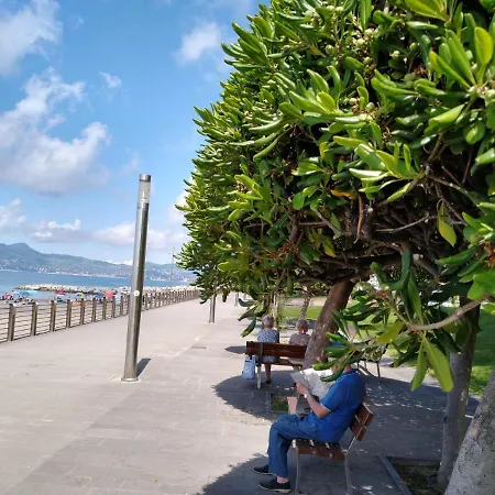 Vista Sul Carruggio, Centro Storico Di