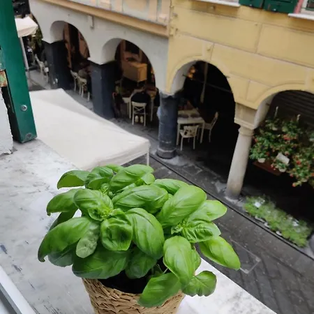 Vista Sul Carruggio, Centro Storico Di Apartamento Chiavari
