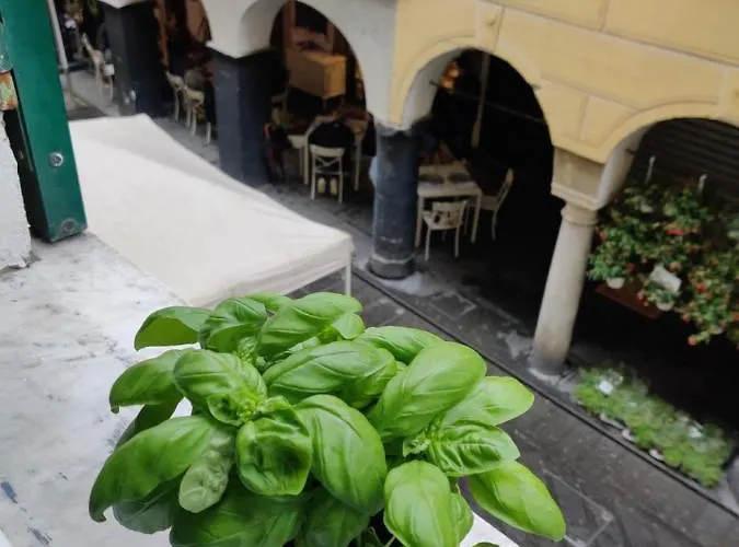 Vista Sul Carruggio, Centro Storico Di Lejlighed Chiavari