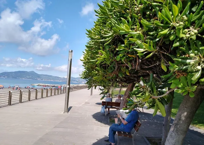 Vista Sul Carruggio, Centro Storico Di